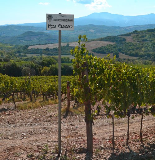 Ciacci Piccolomini d&rsquo;Aragona winery image 2
