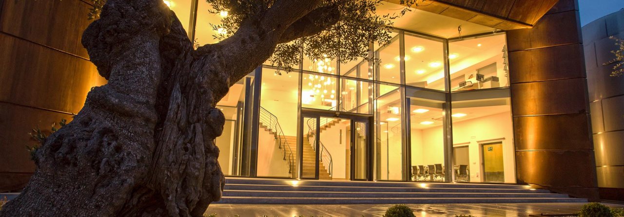The lit glass entrance of the Barbanera winery at Cetona, with an old olive tree in front of it