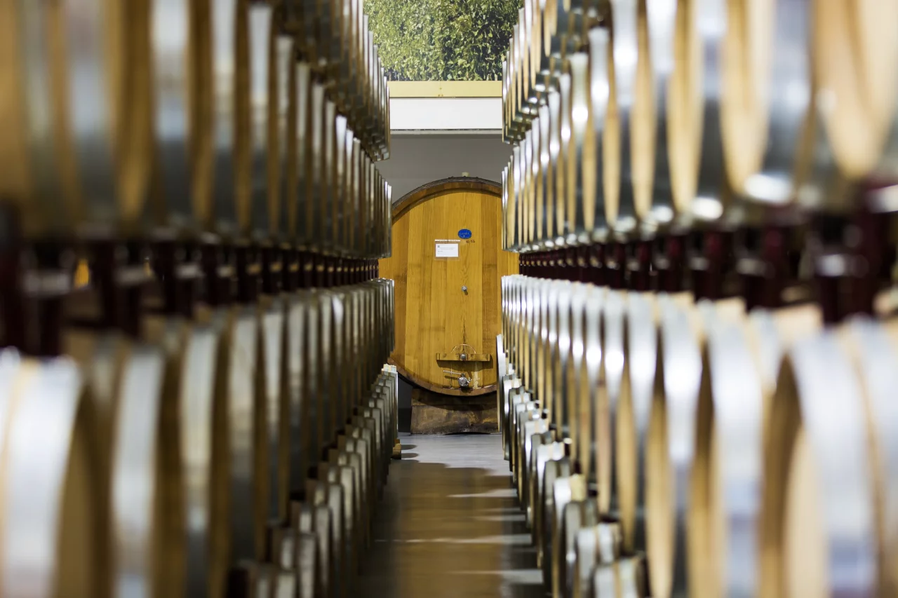Cantina di Venosa winery image 5