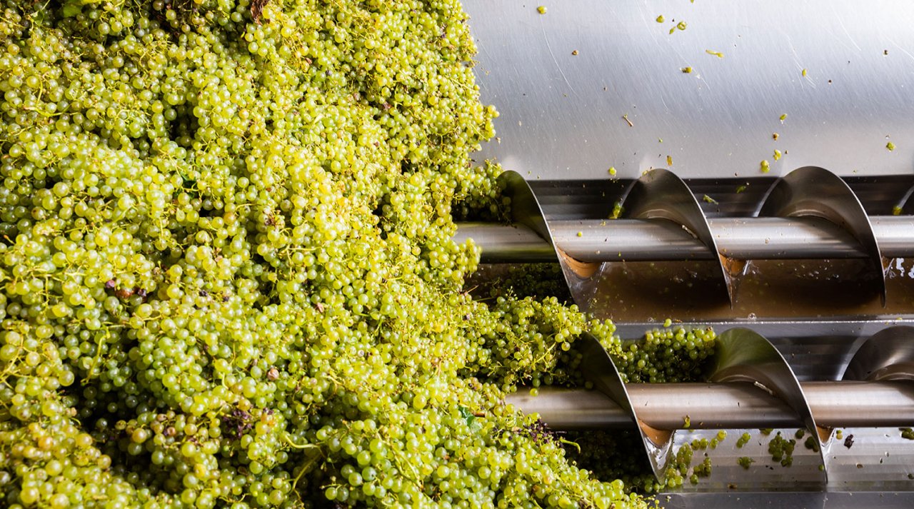 Cantina Colli del Soligo winery image 4