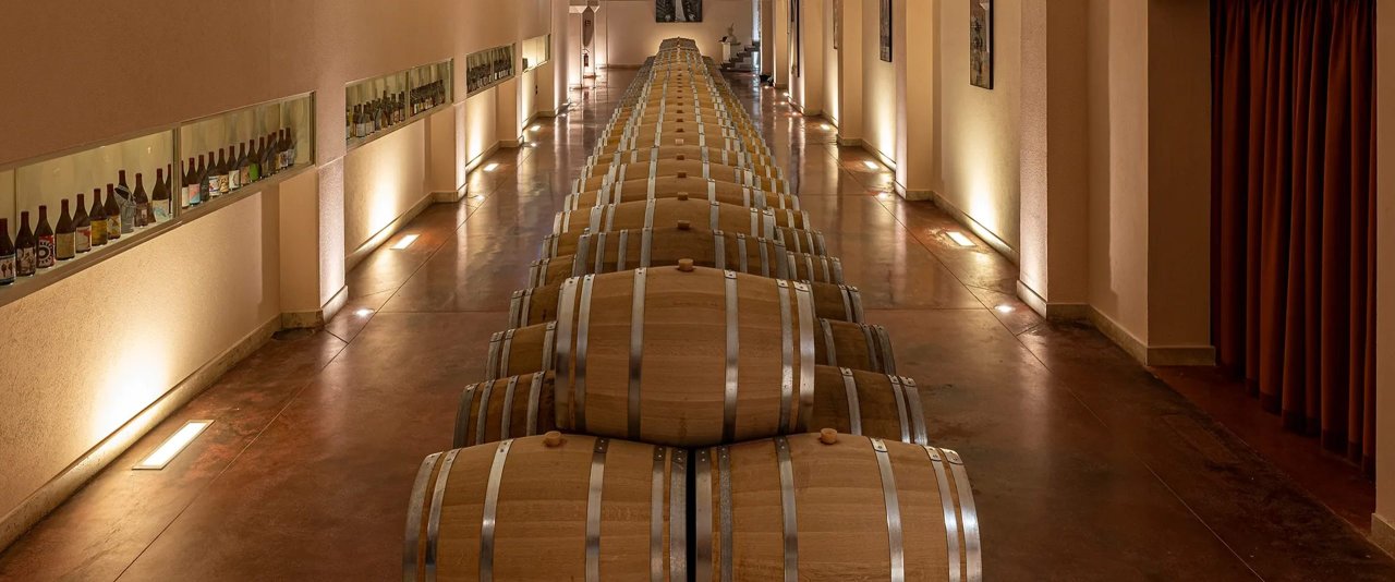 Azienda Agricola Ciccio Zaccagnini winery image 4